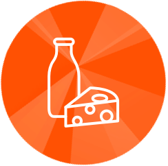 Bottle of milk and piece of cheese icon
