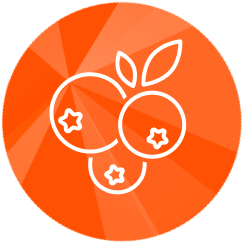 Orange icon